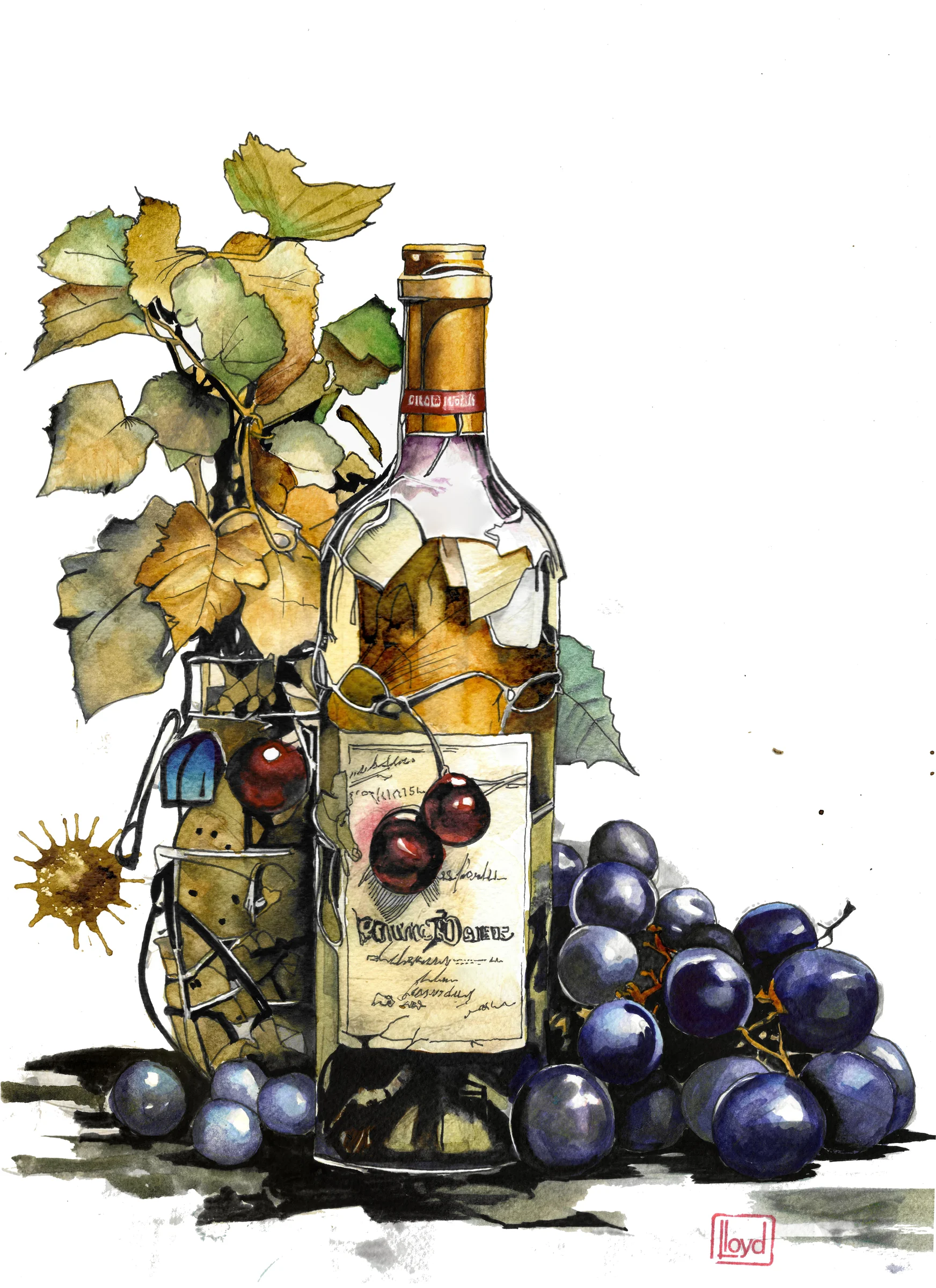 202536 Vino