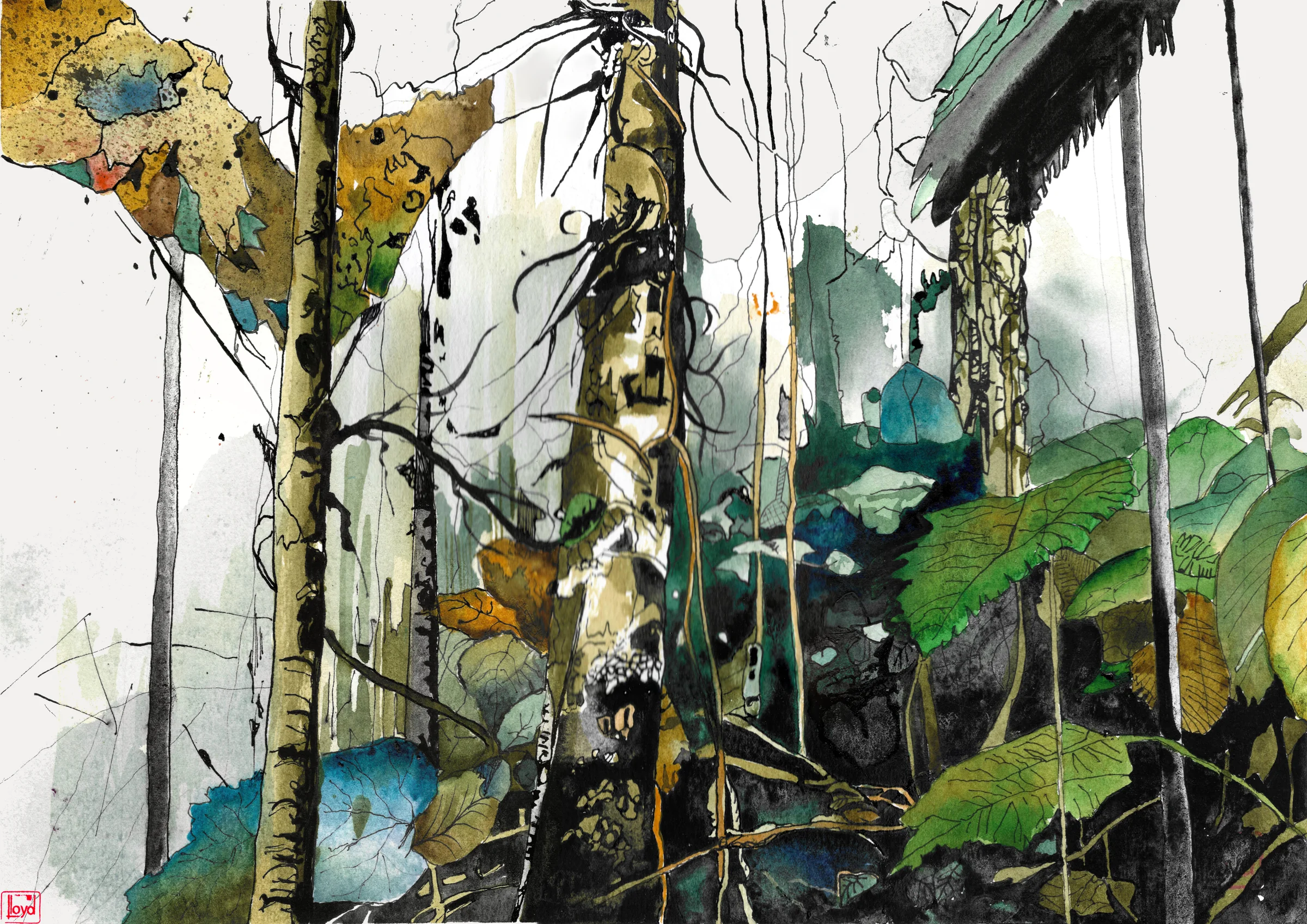 202520 Rainforest