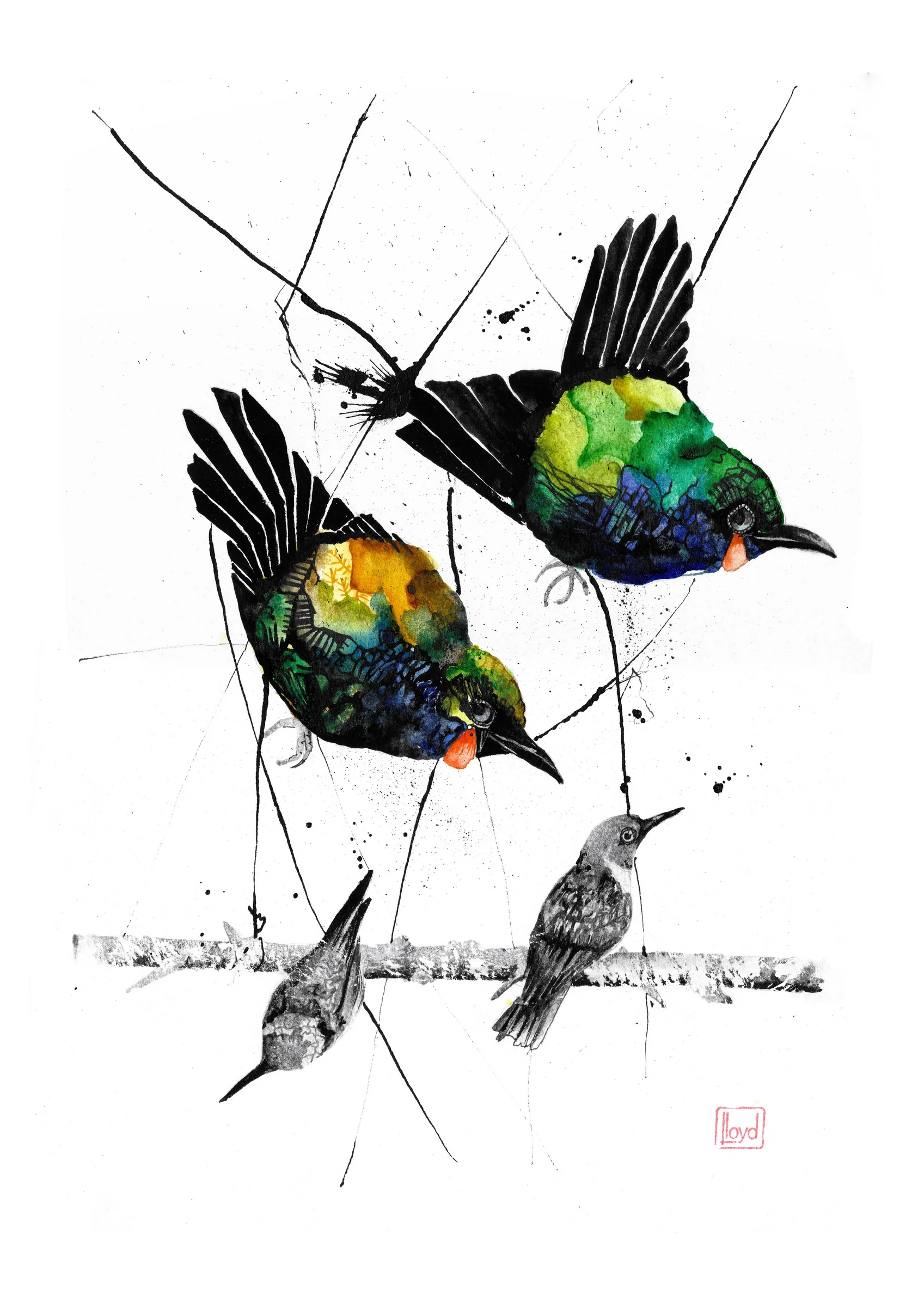 202505 Birds On A Wire