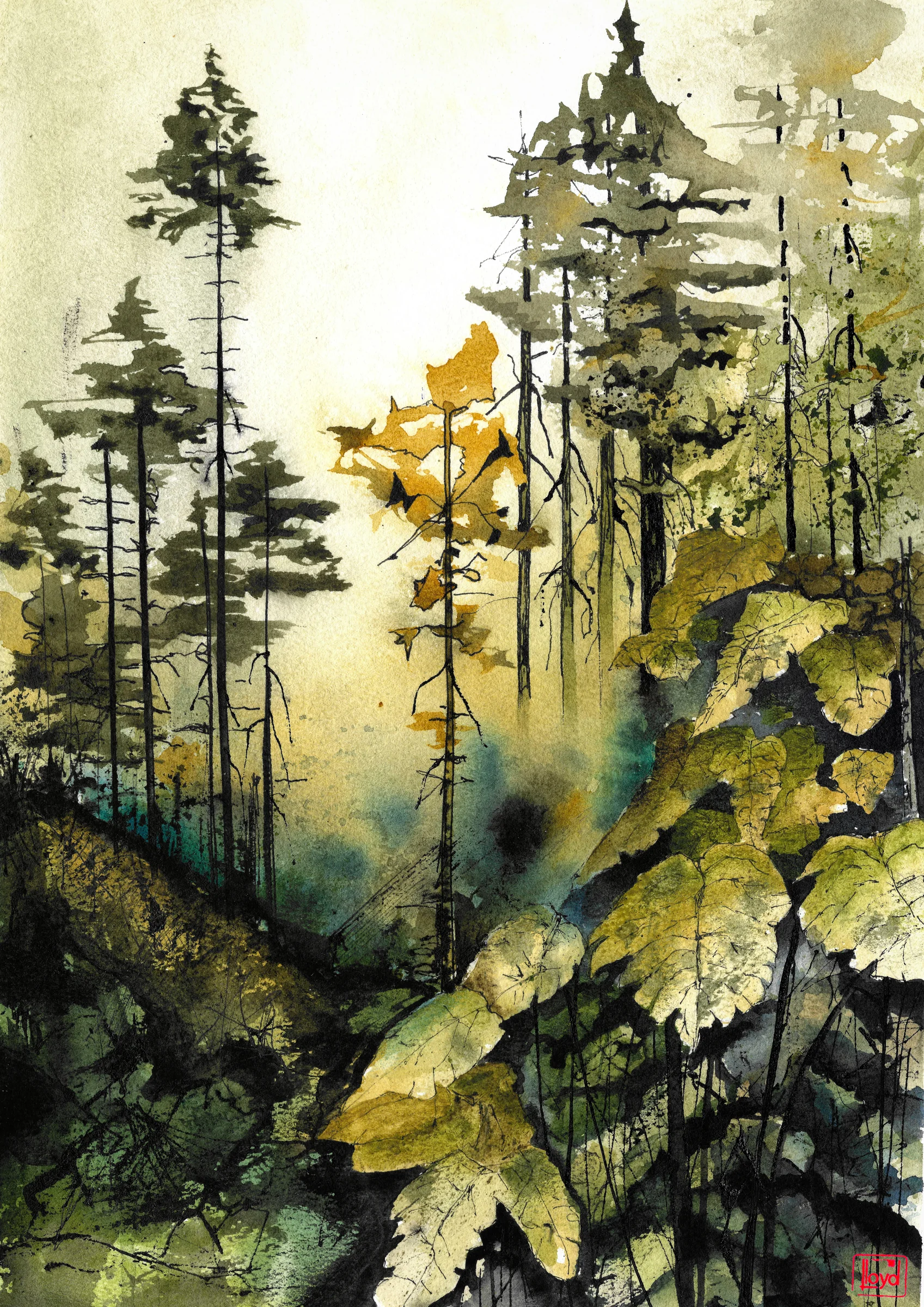 202514 Forest