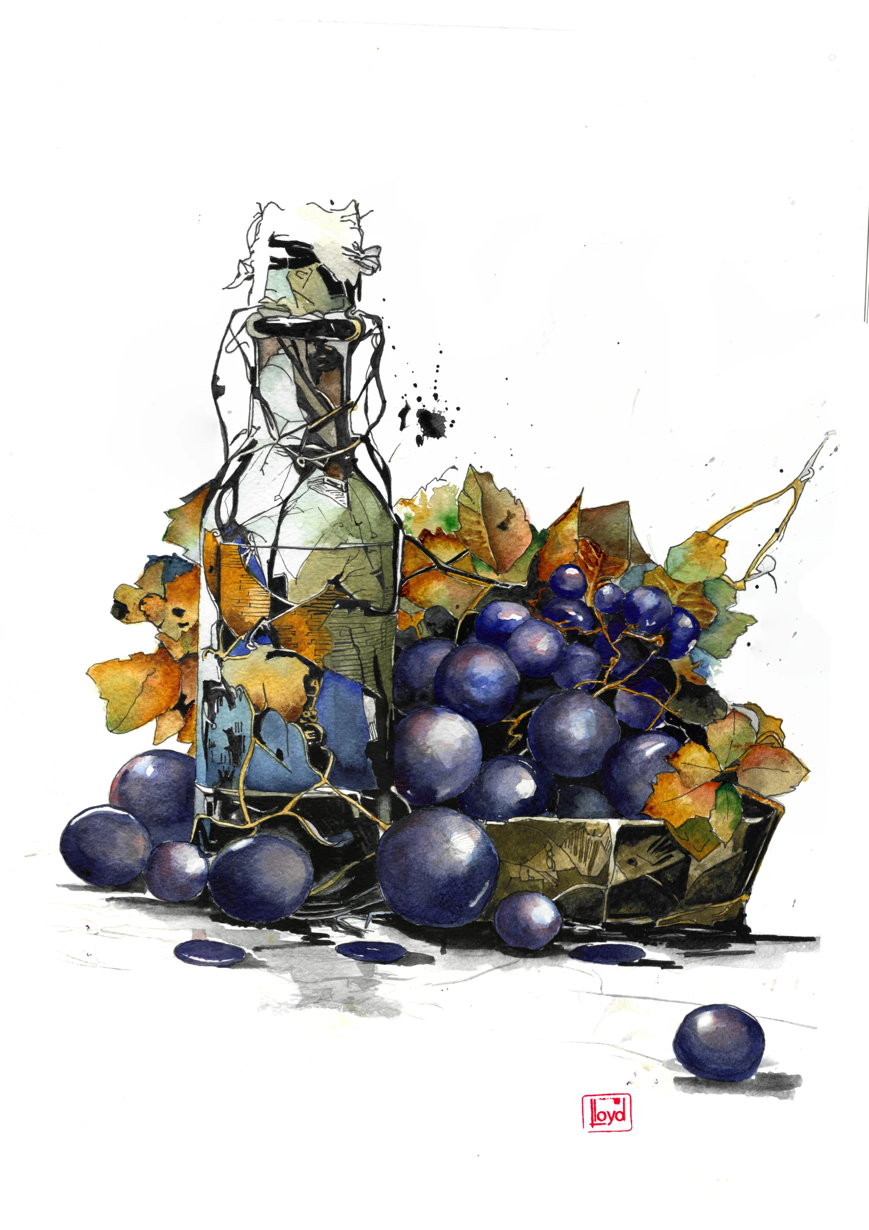 202537 Vino