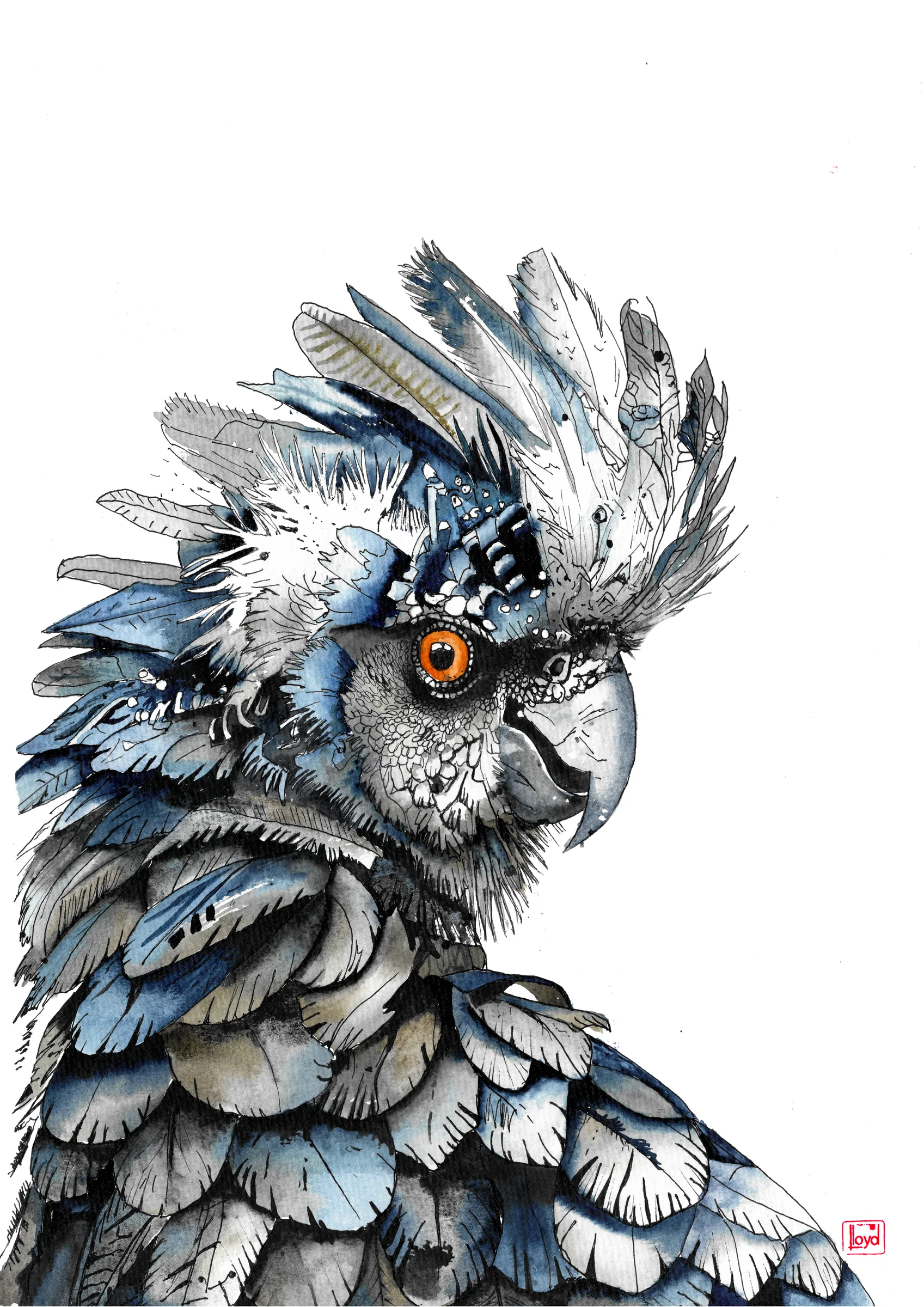 202566 Cockatoo