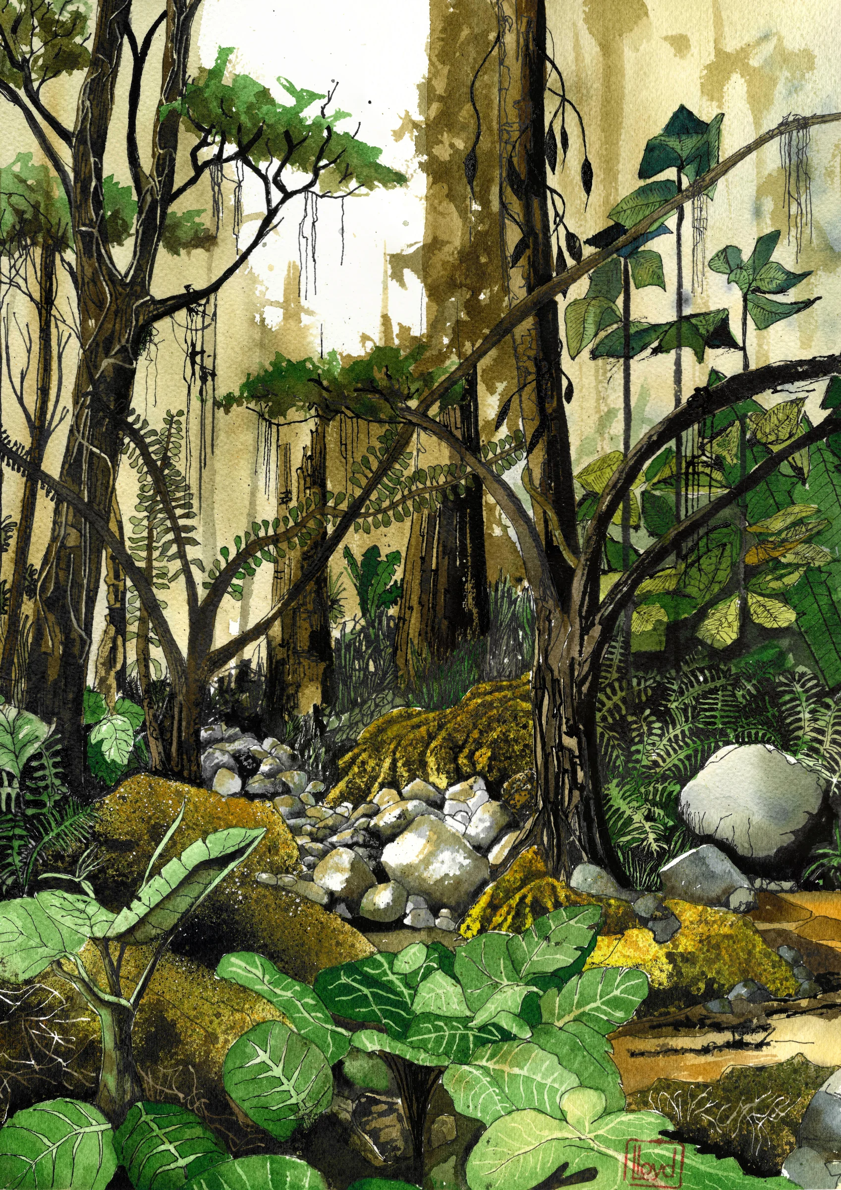 202521 Rainforest