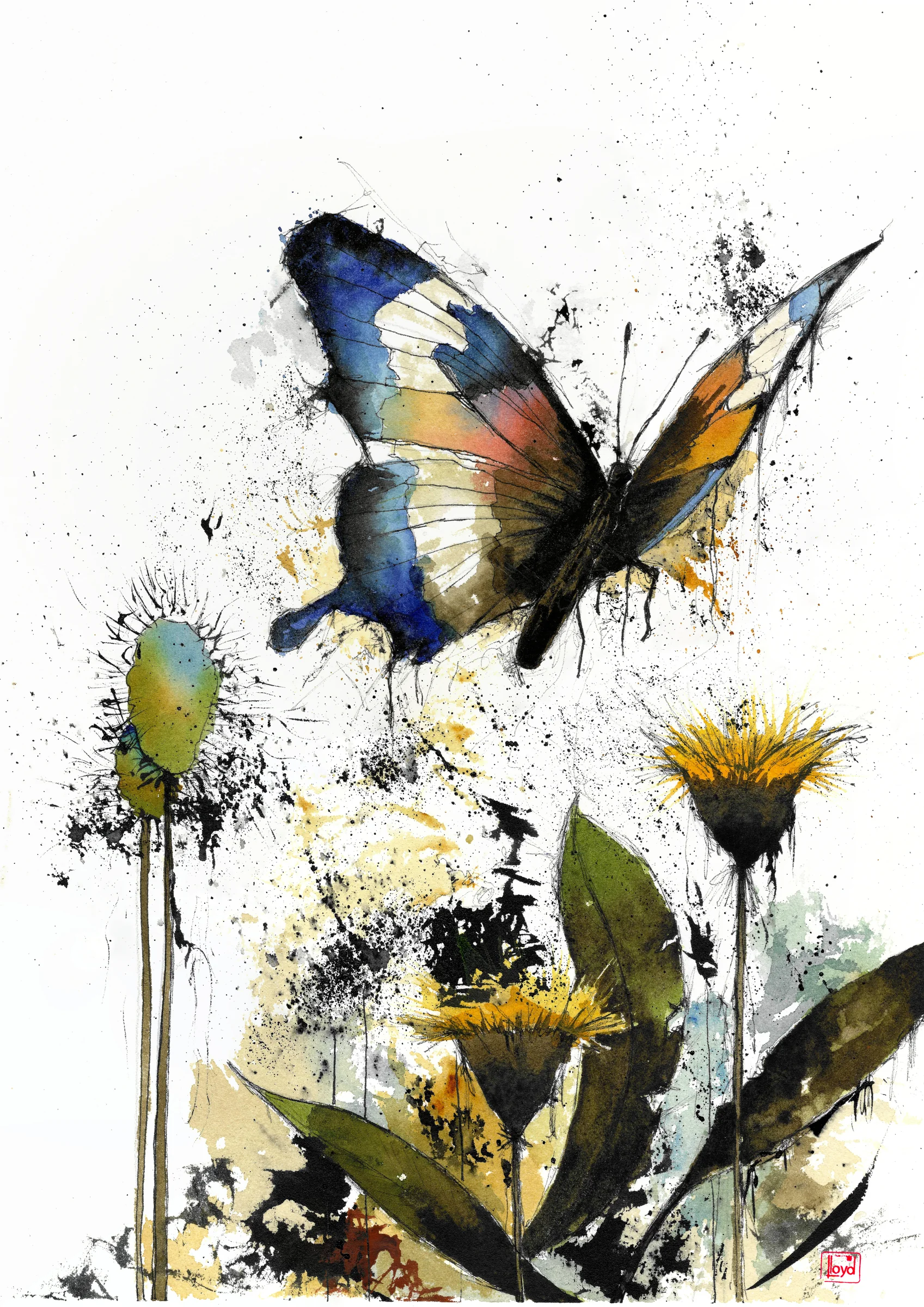 202507 Butterfly