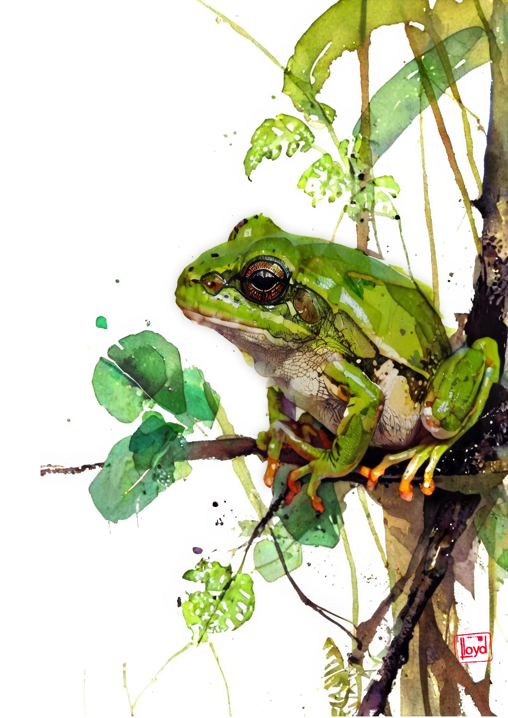 202516 Green Tree Frog