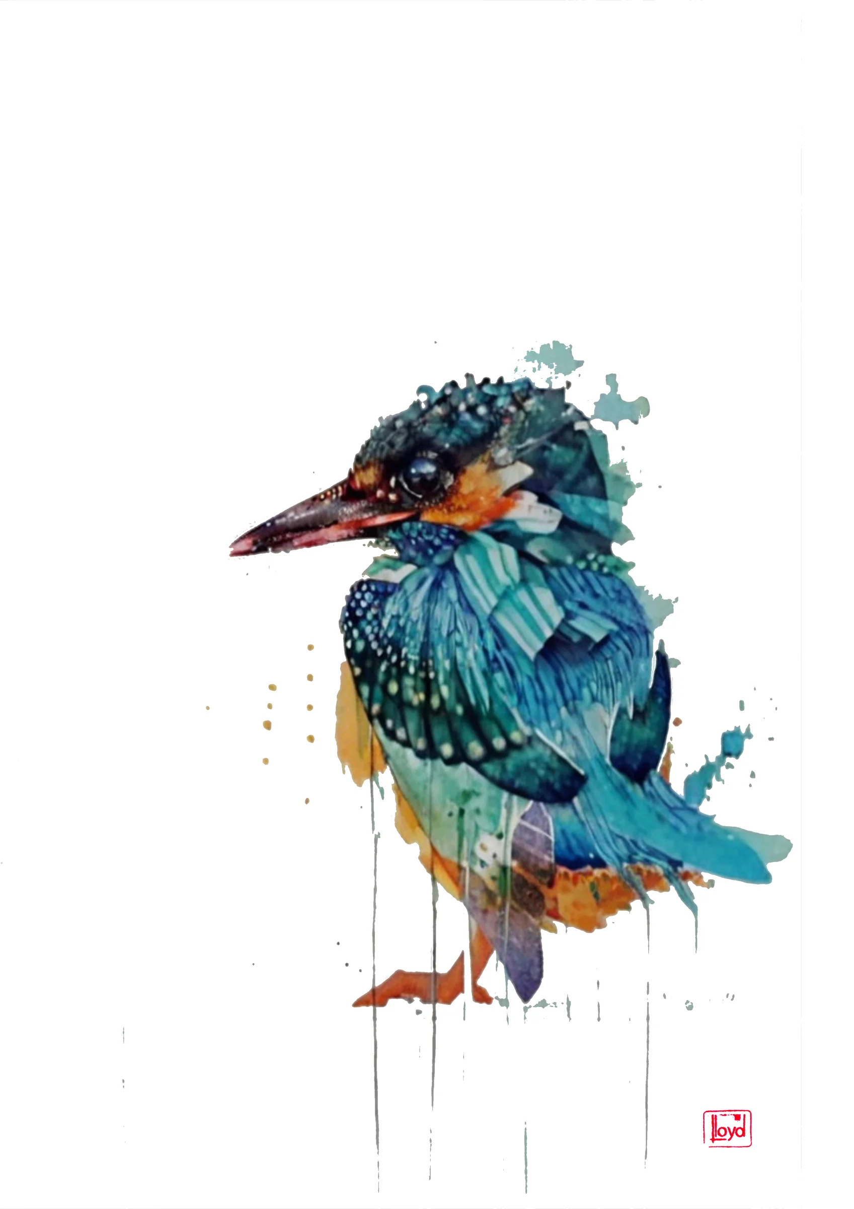 202554 Kingfisher