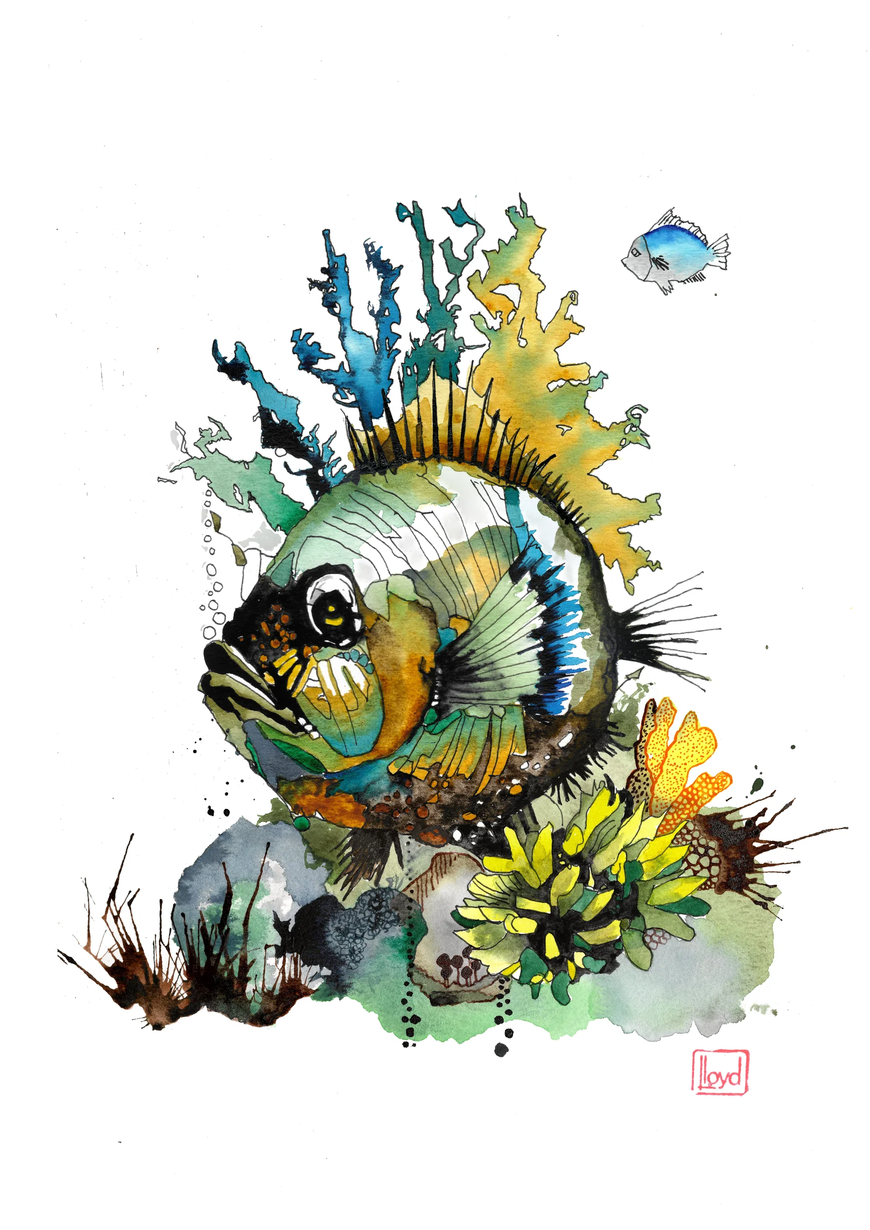 202534 Under the sea