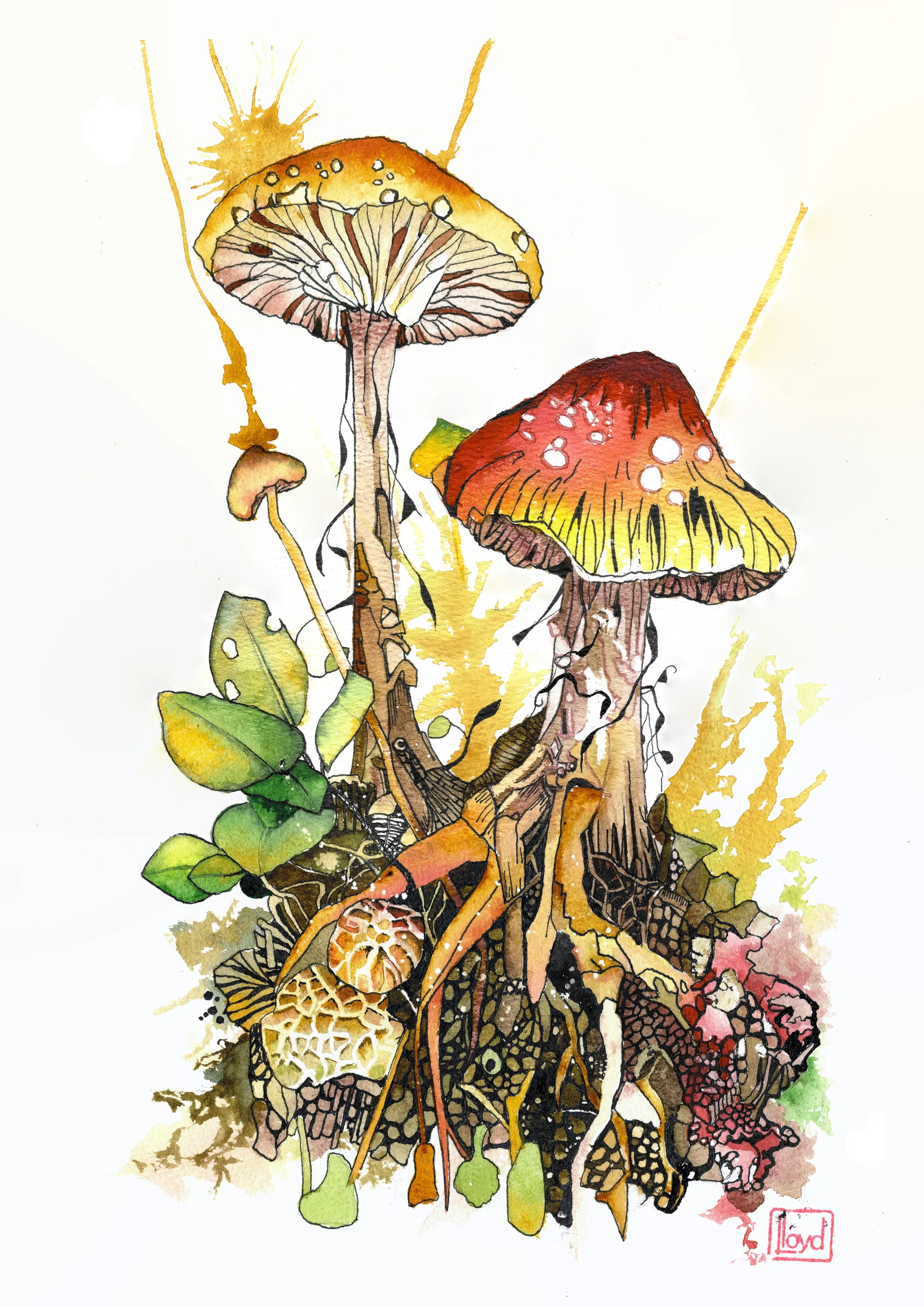 202524 Shrooms