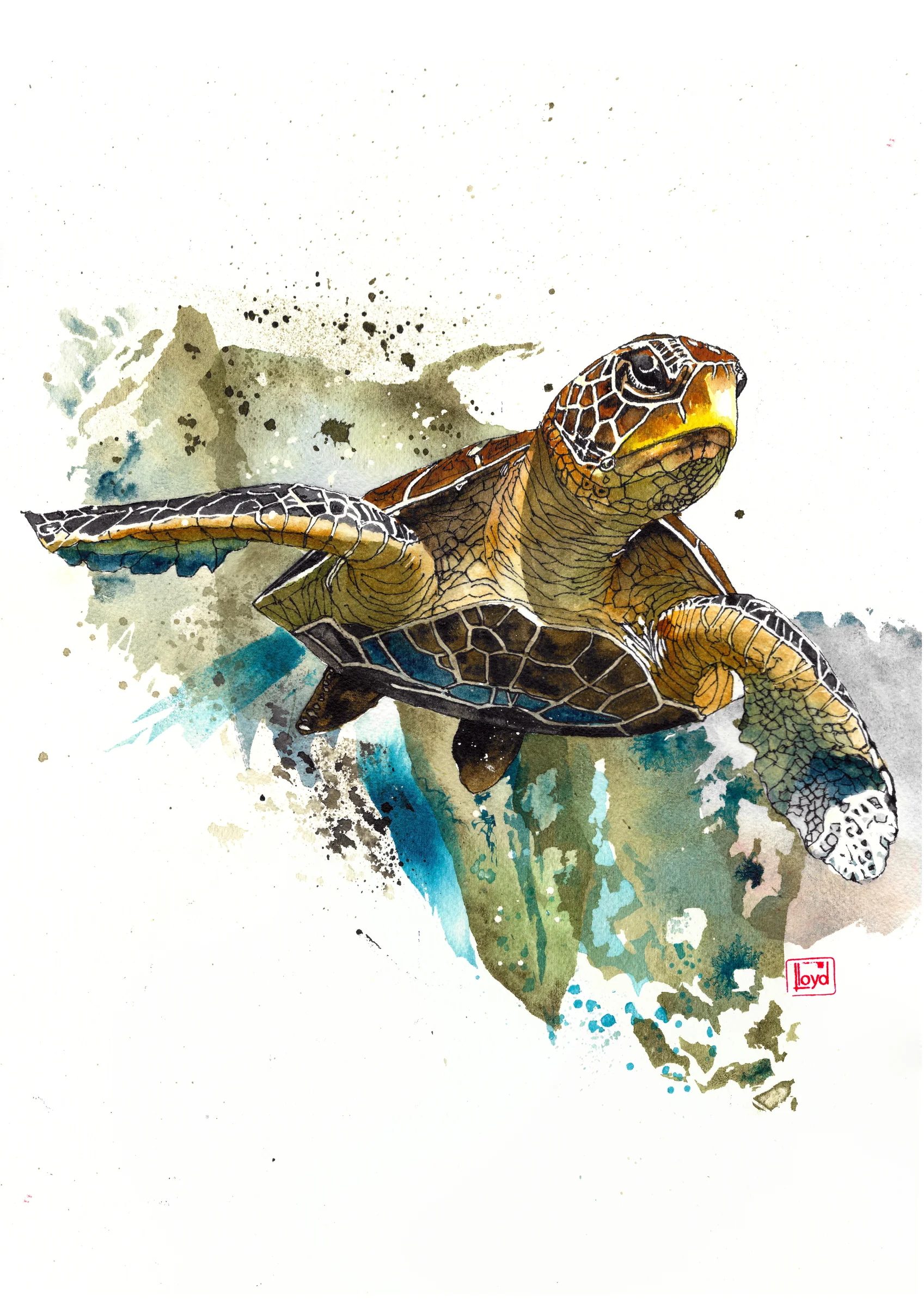 202568 Green Sea Turtle