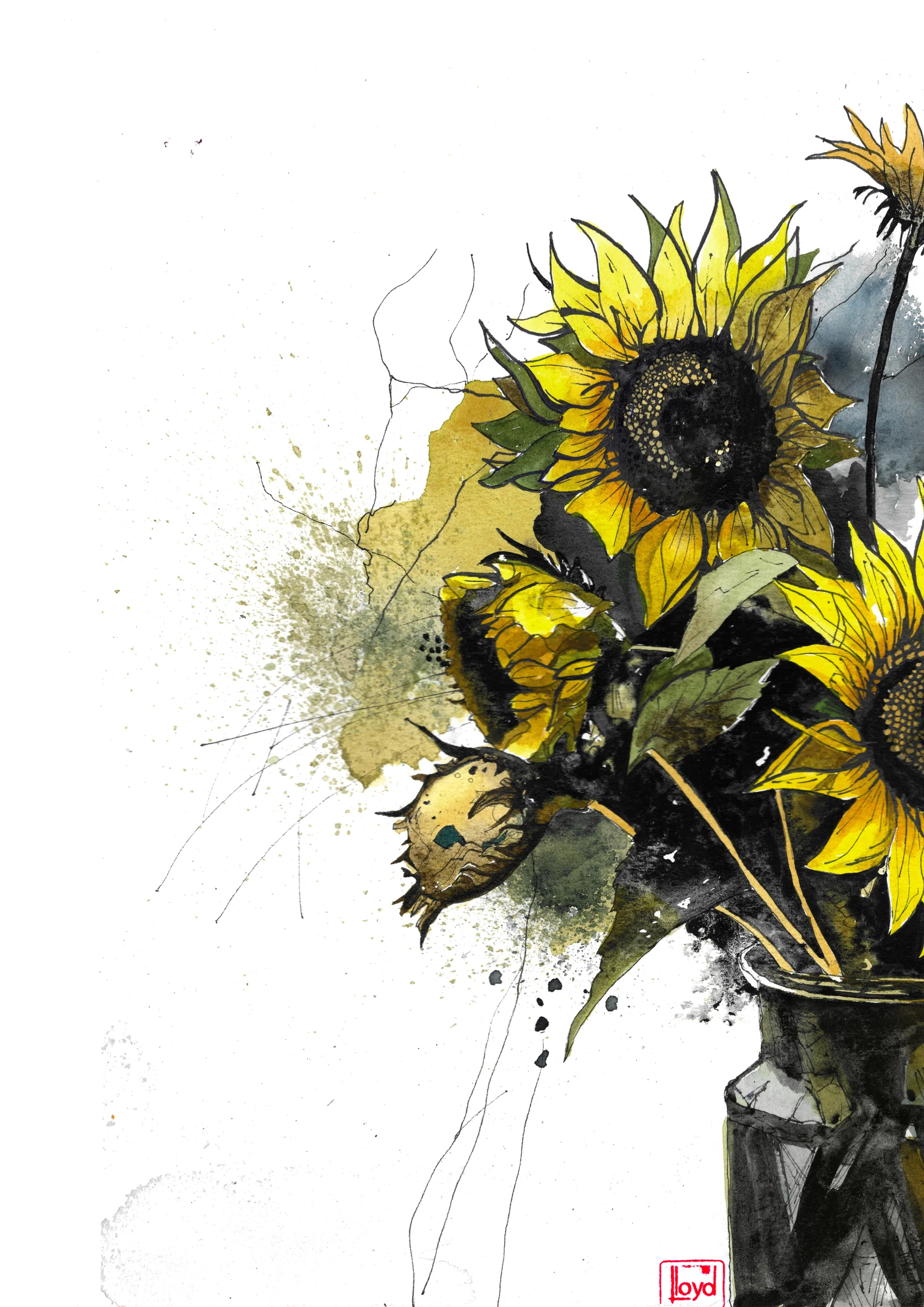 202529 Sunflowers