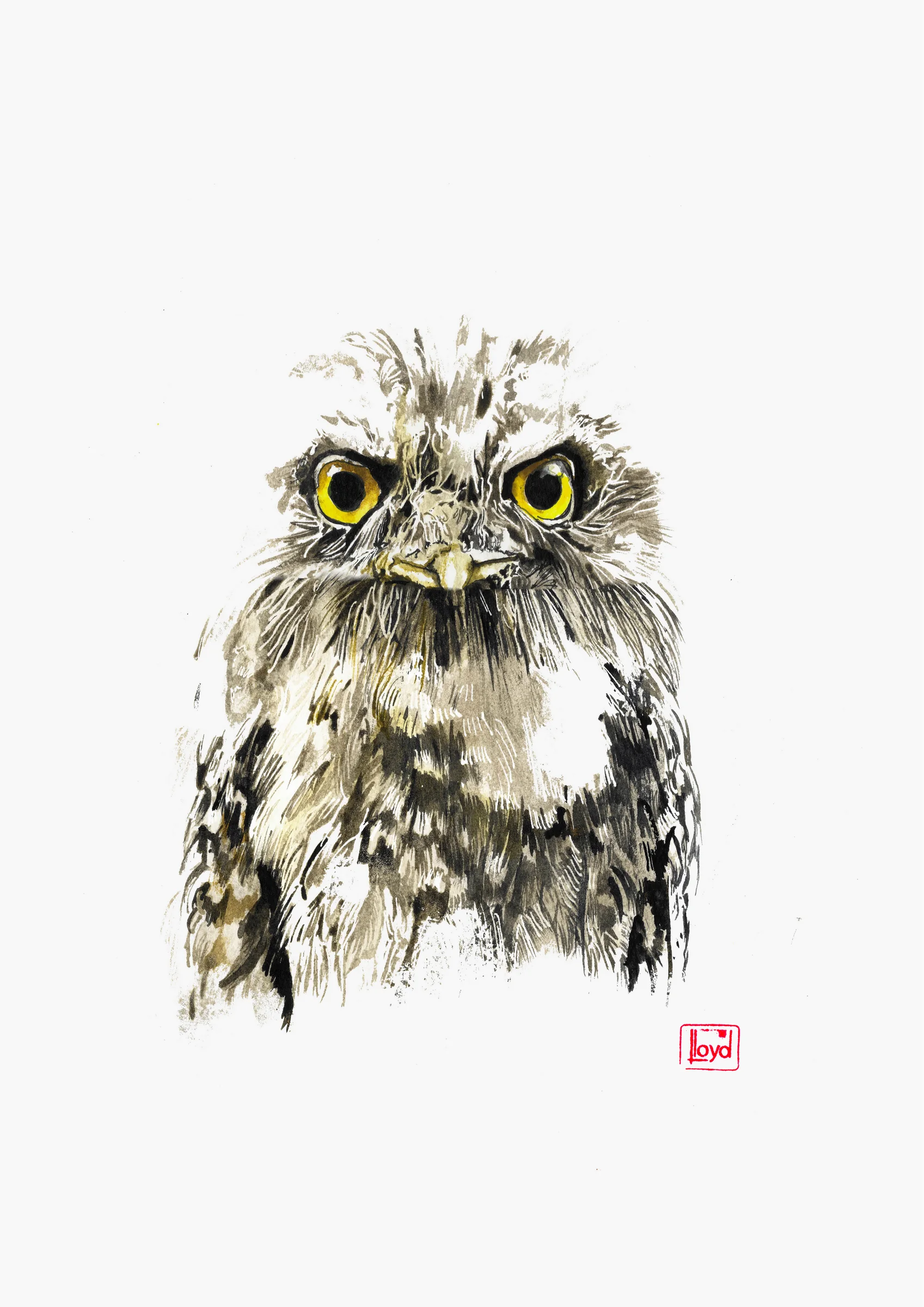202531 Tawny Frogmouth